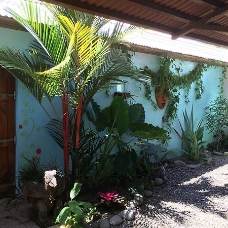 Sueno Grande B&B Puerto Viejo de Talamanca Kültér fotó
